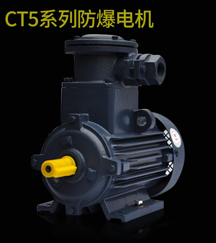 CT5系列防爆电机.jpg